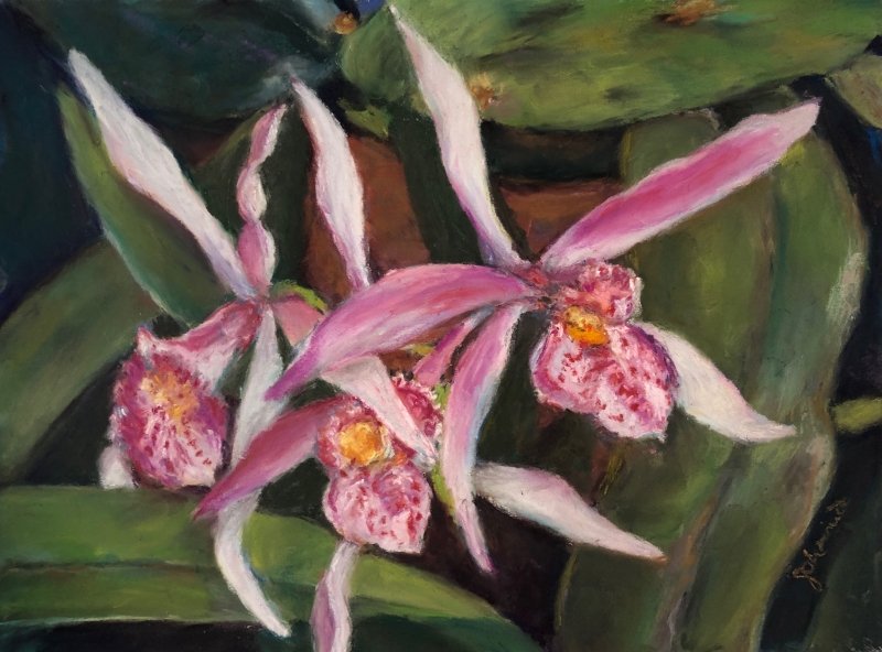 The Grand Opening - Cattleya I by artist Julie Schmidt